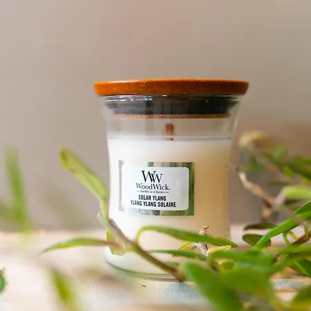 Antica Corte Apartment